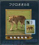 オオカミ.jpg