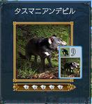 タスマニアンデビル.jpg